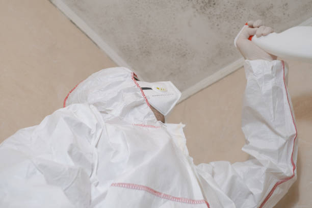Best Bathroom Mold Remediation in Shell Lake, WI