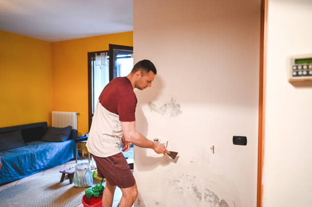Best Post-Remediation Services in Shell Lake, WI